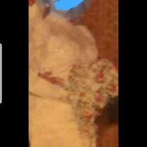 1987 vintage wedding gown and hat